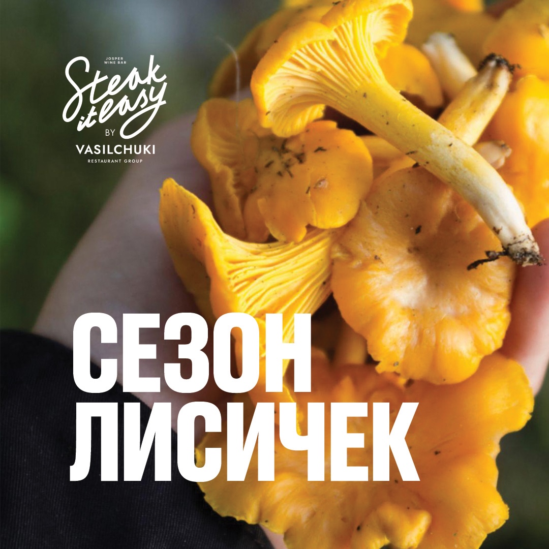 chanterelles_1080_1080